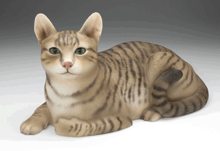 brown tabby cat teddy